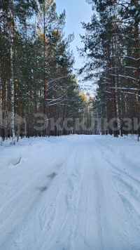Продаётся участок в СНТ в Тюмени